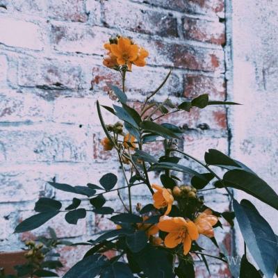 bob·体育综合app手机app下载